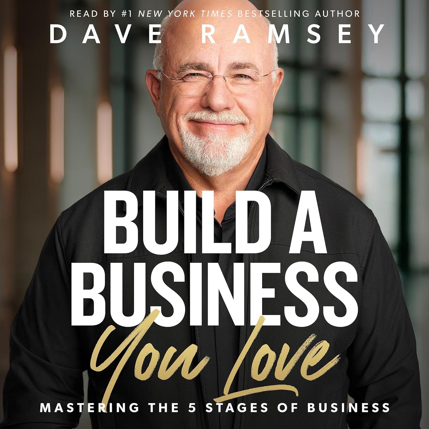 Navigating the Blueprint to Your Dream Business: Insights from Build a Business You Love