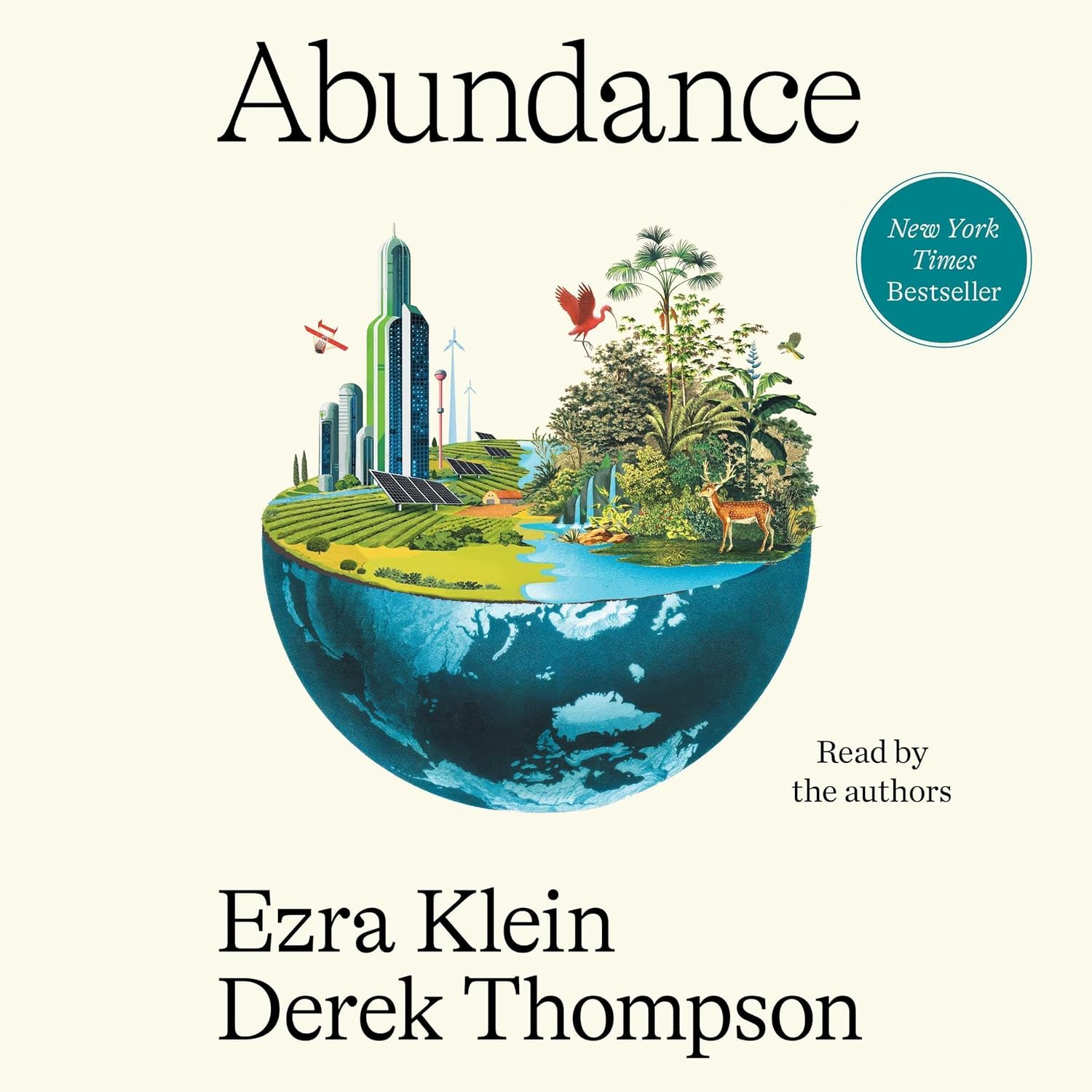 The Power of Plenty: A Deep Dive into "Abundance"