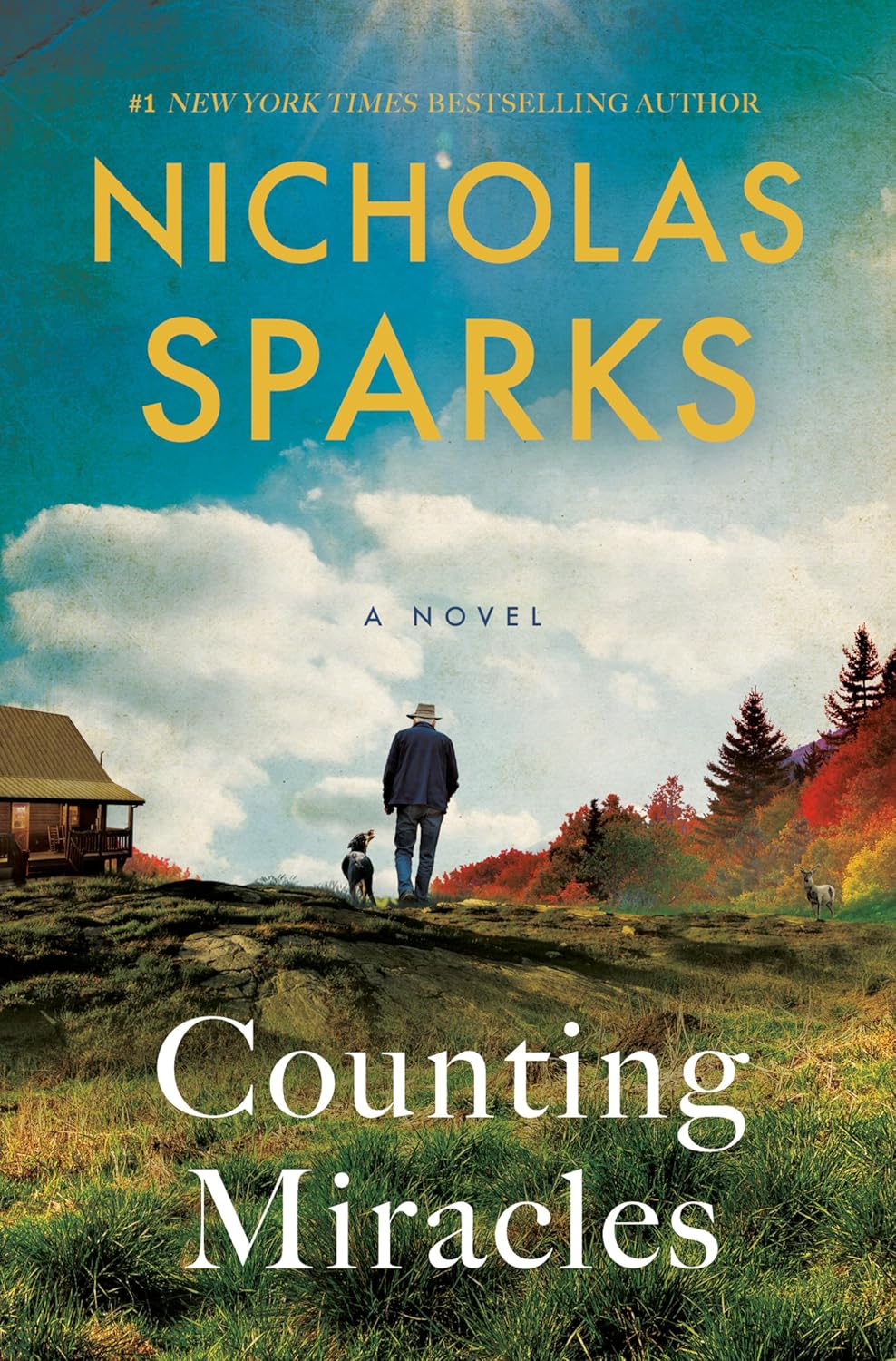 Beyond the Numbers: Exploring the Heart of Counting Miracles