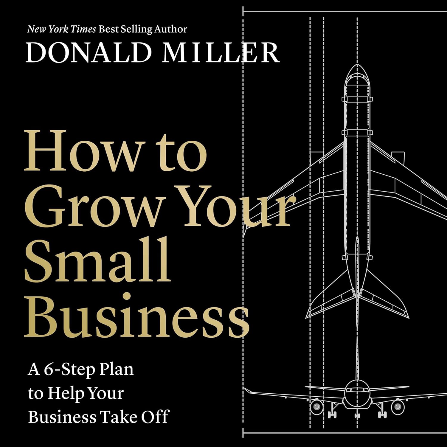 Launching Success: A Review of Effective Strategies in How to Grow Your Small Business