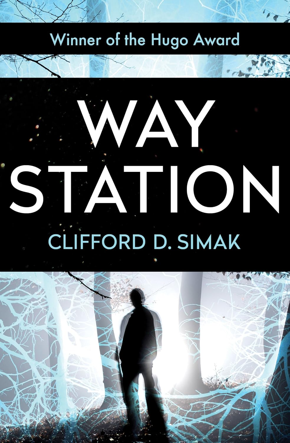 Journey Through the Cosmos: A Reflection on Way Station's Timeless Themes