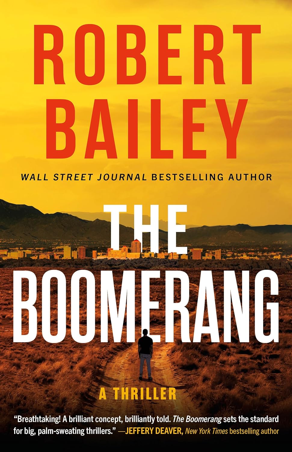 Catching Shadows: A Gripping Journey Through The Boomerang Thriller