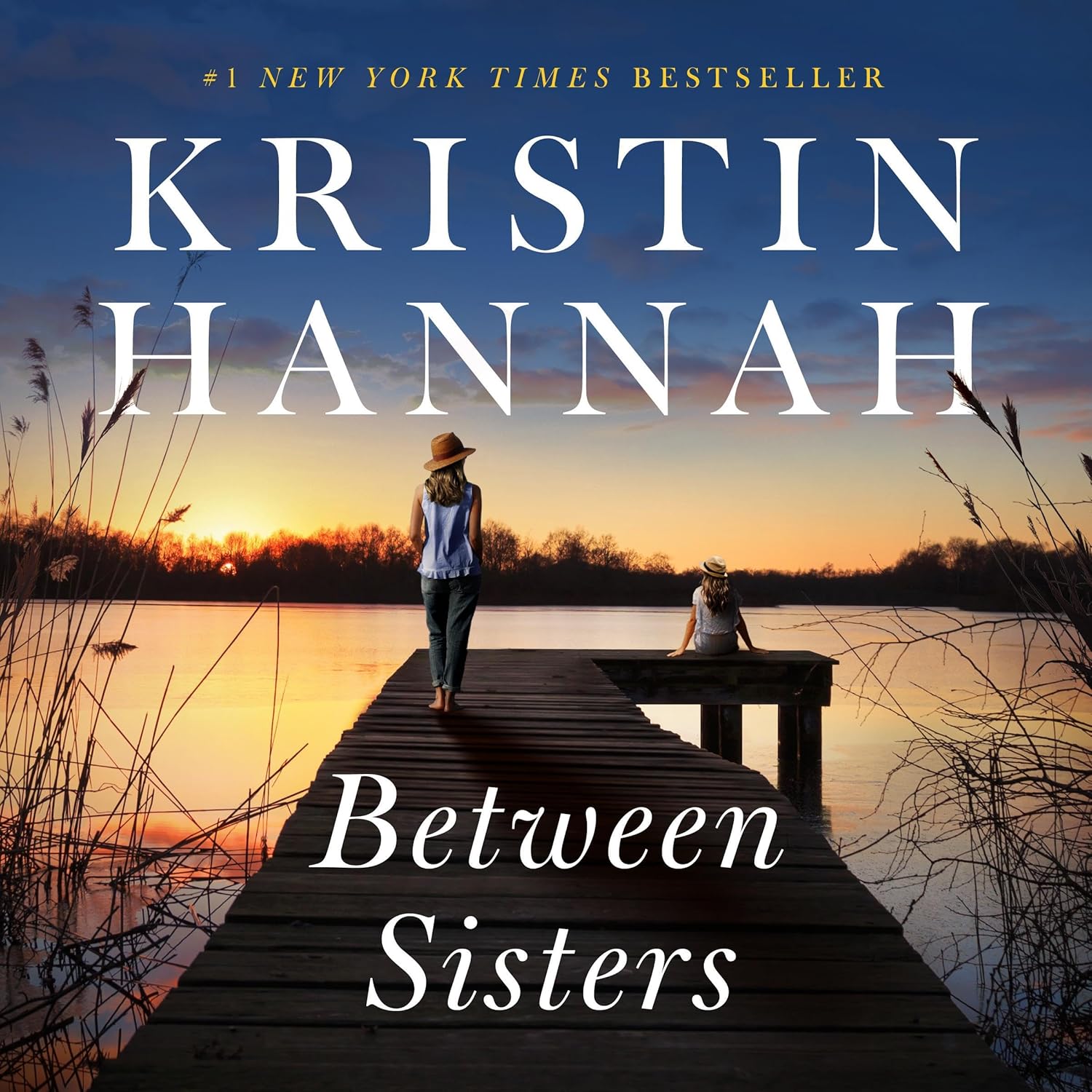 Sisterly Bonds and Hidden Secrets: A Journey Through Between Sisters
