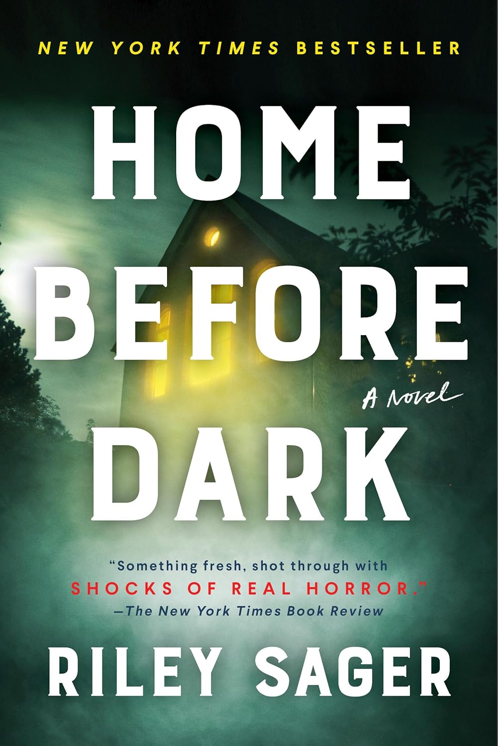 Unraveling Secrets: A Journey Through Shadows in Home Before Dark