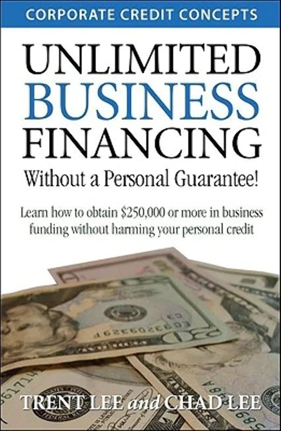 Unlocking Infinite Potential: A Review of Unlimited Business Financing