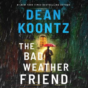 Navigating Stormy Skies: A Review of The Bad Weather Friend