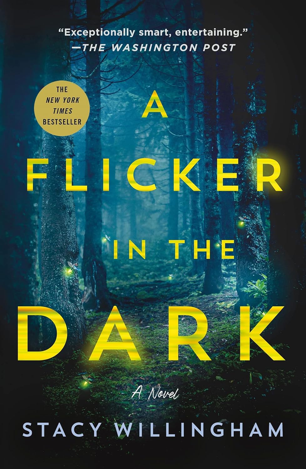 Unraveling Shadows: A Dive into A Flicker in the Dark