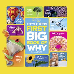 Curiosity Unleashed: A Dive into National Geographic's Little Kids First Big Book of Why