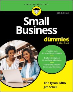 Navigating Success: A Review of Small Business For Dummies