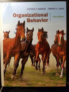 Navigating the Dynamics of Workplace Interactions: A Deep Dive into Organizational Behavior (17th Edition)