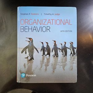 Navigating the Dynamics of Teamwork: Insights from Organizational Behavior