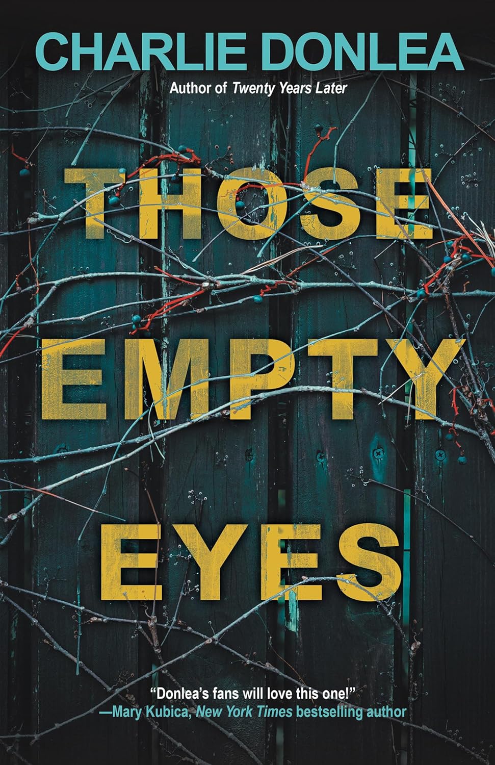 Unmasking the Darkness: A Journey Through Suspense in Those Empty Eyes