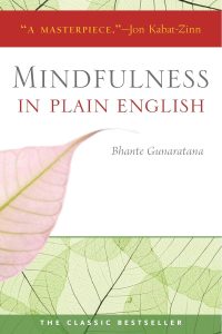 Finding Clarity: A Journey Through Mindfulness in Plain English