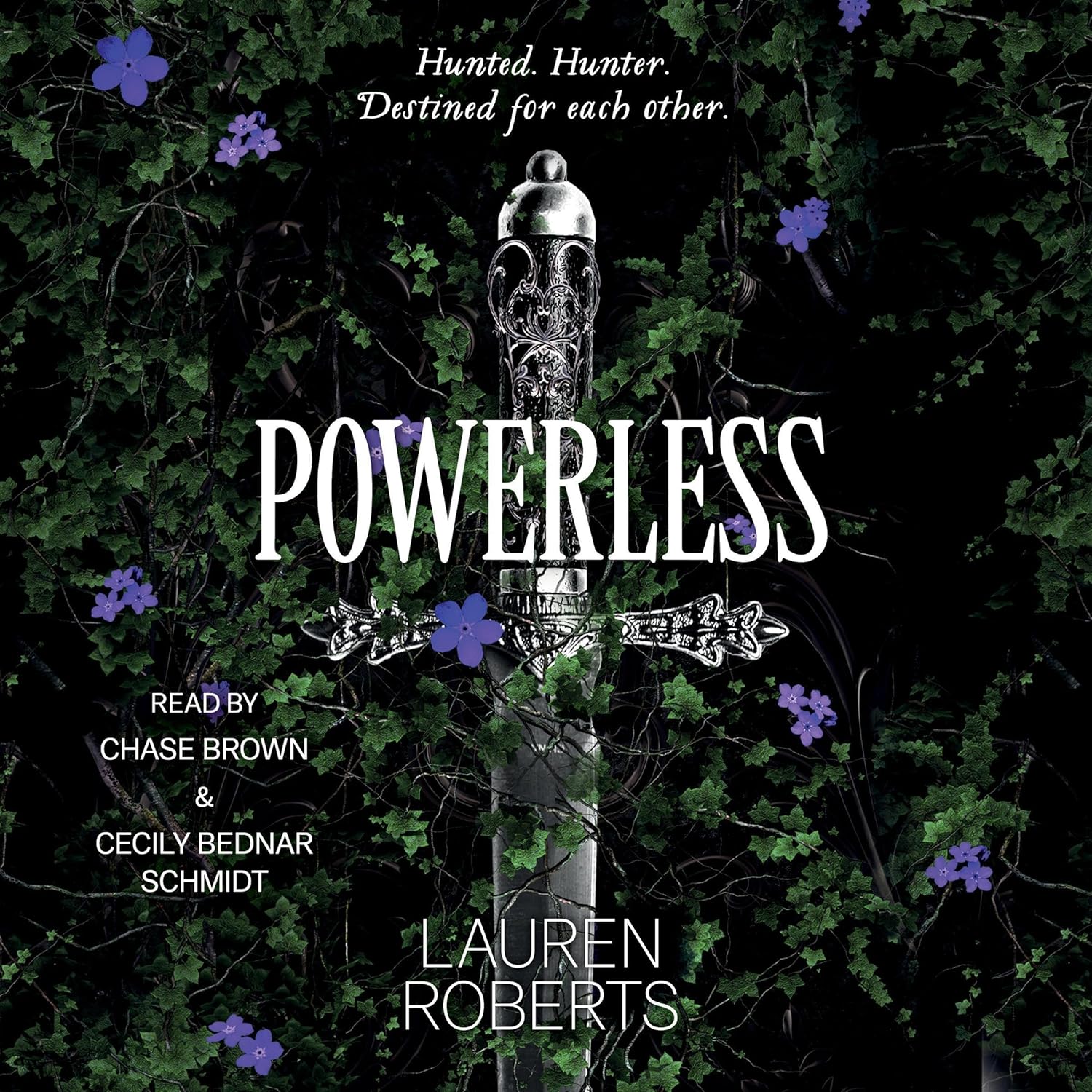 Navigating the Shadows: A Review of Powerless