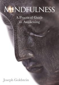 Awakening the Senses: Exploring the Practical Path of Mindfulness