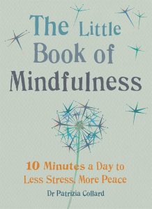 Mindfulness in Minutes: Transforming Stress into Serenity