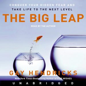 Breaking Through Barriers: A Deep Dive into The Big Leap