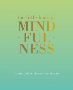 Embracing Serenity: A Journey Through The Little Book of Mindfulness