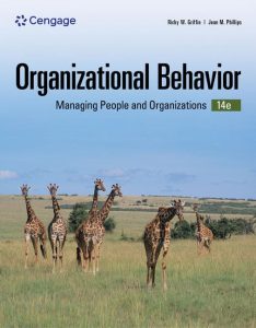 Navigating the Human Element: Insights from Organizational Behavior in Management