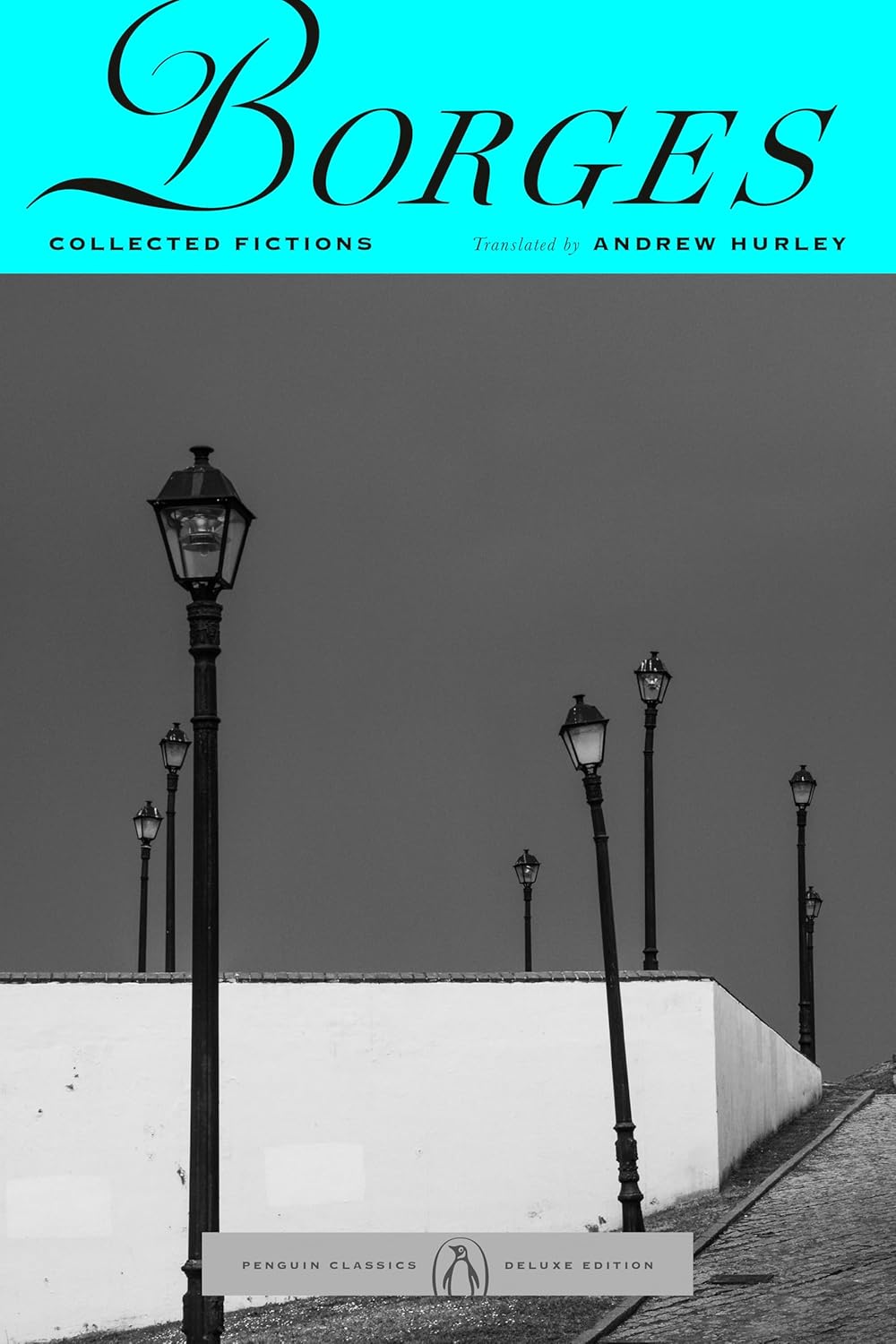 Exploring the Infinite: A Journey Through Collected Fictions
