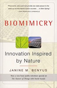 Nature's Blueprint: Unleashing Innovation Through Biomimicry