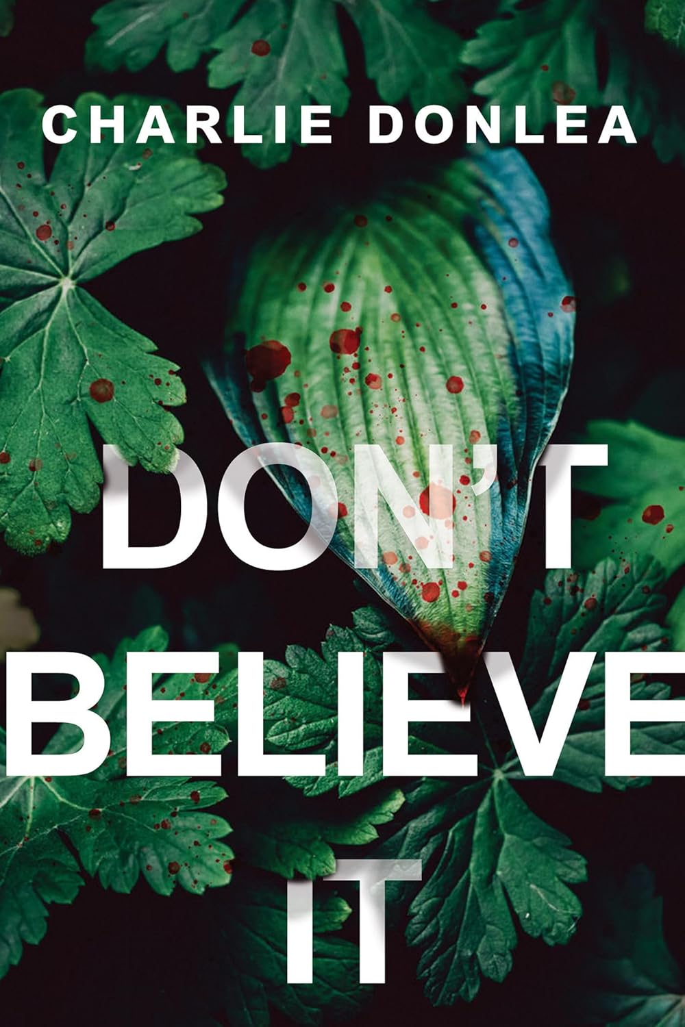 Unraveling the Truth: A Dive into Don't Believe It