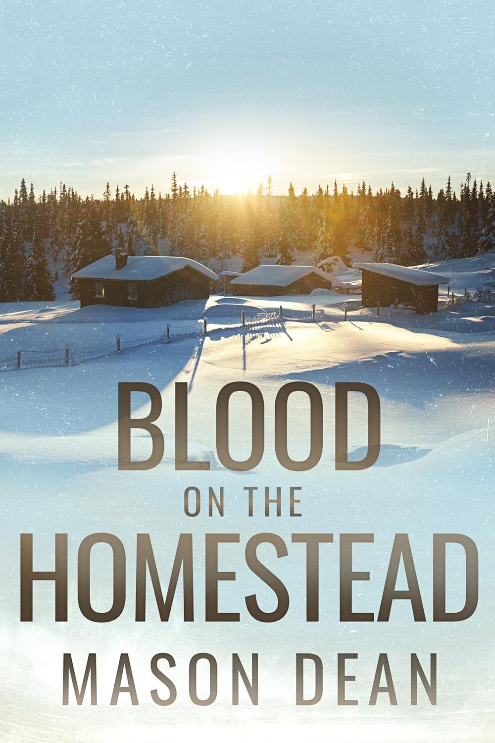 Book Cover