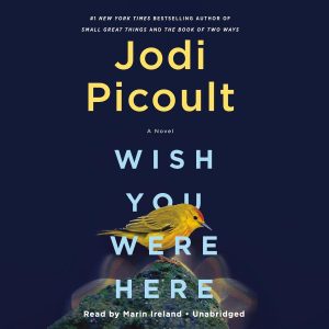 Exploring Loss and Longing in Wish You Were Here: A Journey Through Heartache