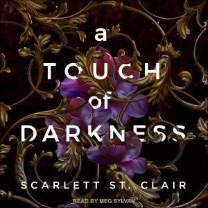 Captivating Shadows: Exploring Love and Power in A Touch of Darkness