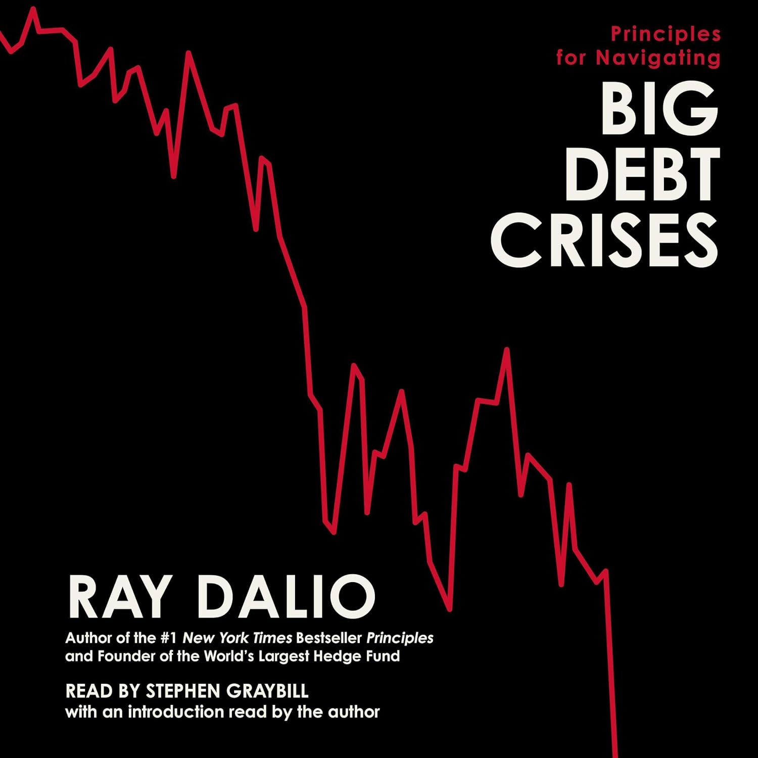 Charting the Course: Insights from Principles for Navigating Big Debt Crises