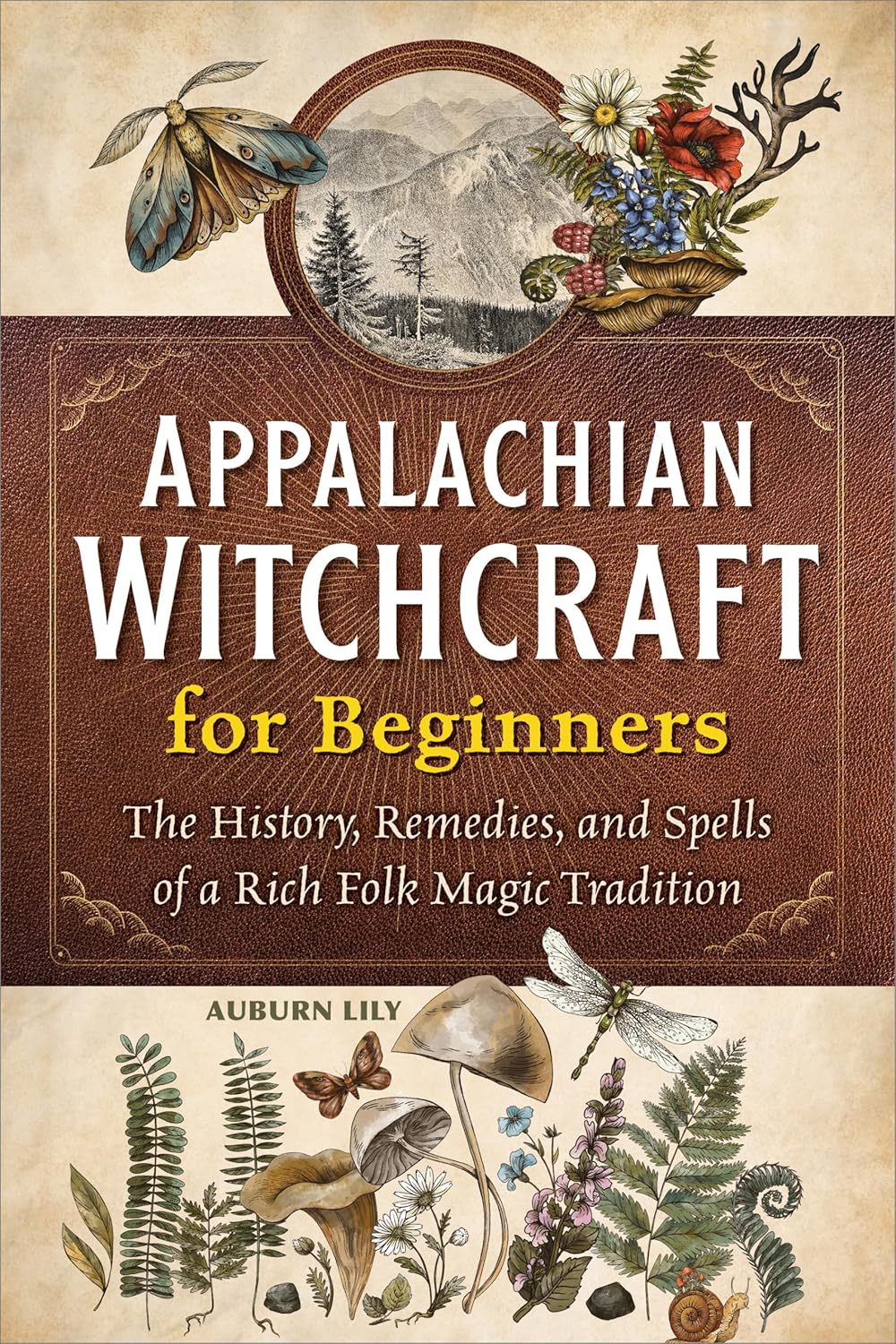 Exploring the Enchantment: A Beginner's Journey into Appalachian Witchcraft
