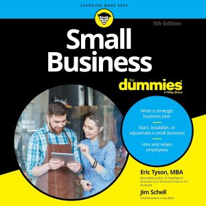 Navigating Entrepreneurship: Insights from Small Business for Dummies 5th Edition